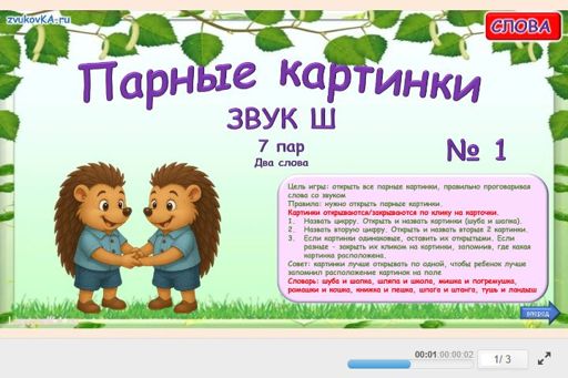 Материал для автоматизации звука ш — Во всех позициях — Парные картинки № 1