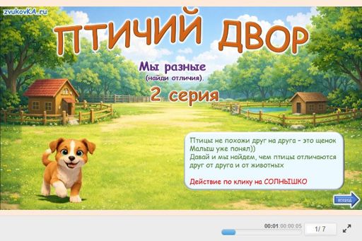 Материал «Птичий двор - Мы разные № 1» — Развитие речи: Домашние птицы